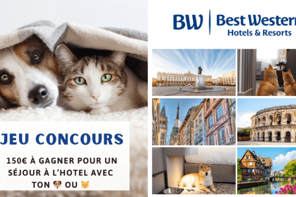 Best Western : Jeu concours