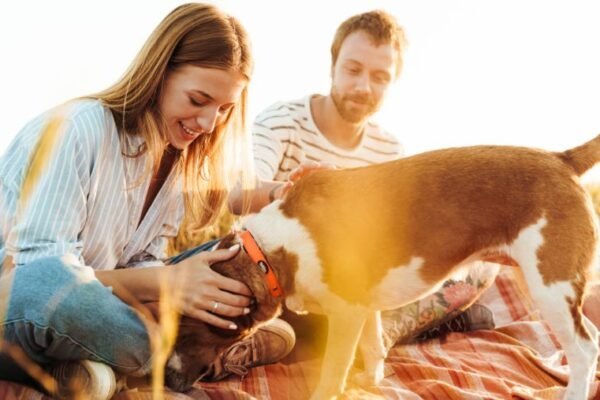 chien et couple à la campagne