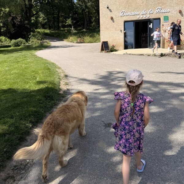 Camping Domaine de la Besse - Pyrénées - Ariège - Camon - Animaux acceptés - Chiens acceptés - EmmeneTonChien.com