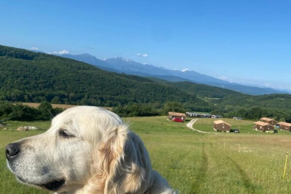 Camping Domaine de la Besse