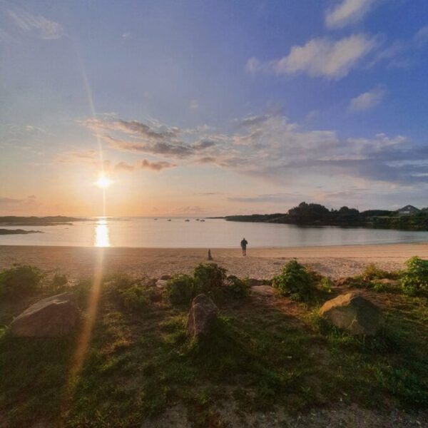 Plage proche du Camping La Ferme Du Bord de Mer dans le Cotentin au bord de la Manche en Normandie