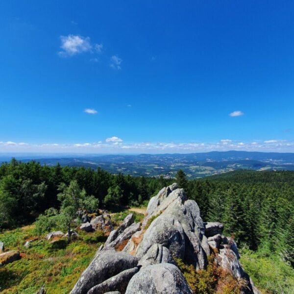 La nature proche du Gîte la P'tite Maison dans le Puy de Dôme à Thiers en Auvergne