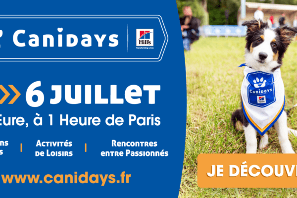 Votre chien vous emmène en week-end les 4, 5 et 6 juillet 2025