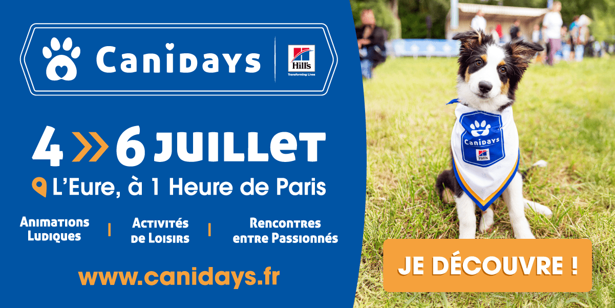 Votre chien vous emmène en week-end les 4, 5 et 6 juillet 2025