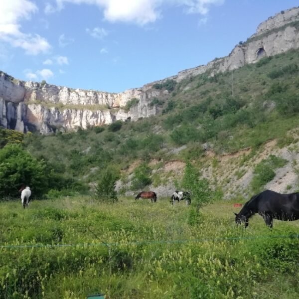 Nature près des Gîtes la Maison d'Omélie en Aveyron à Tournemire proche de Millau en Occitanie