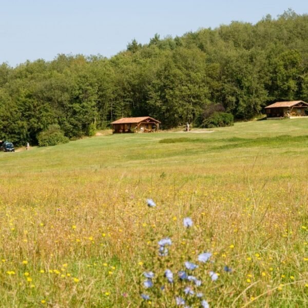 Chalets dans la nature au Camping Domaine de la Besse dans les Pyrénées en Ariège à Camon