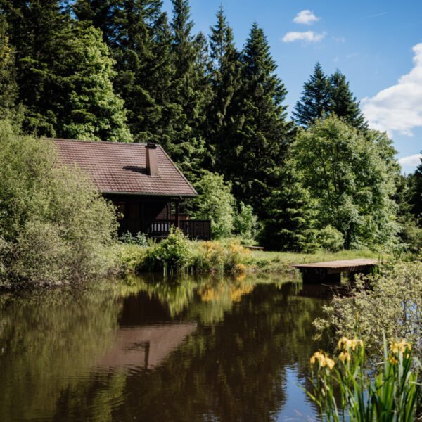 Chalet Jean des Houx dans les Vosges près de Gérardmer à Sapois