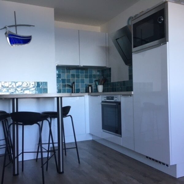 Appartement T2, vue mer, climatisé à Banyuls sur mer - animaux acceptés - EmmènetonChien.com