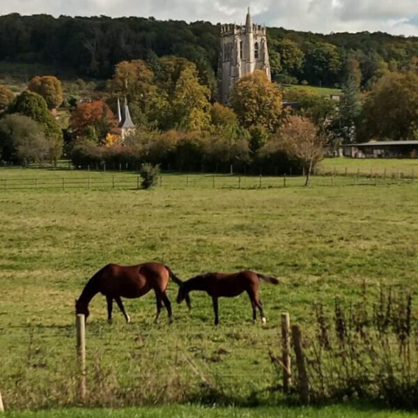 Vue sur le village et les chevaux proche des Gites Le Paddock du Bec en Normandie au Bec-Hellouin dans l' Eure