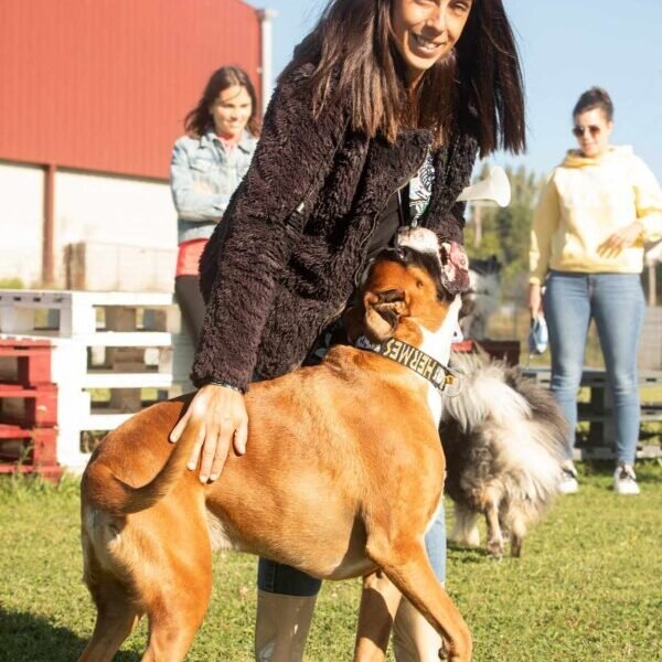 Laure éducatrice canine avec un Chien au Centre Canin Le Parc de l'Aure avec Piscine pour chiens dans la Somme près d'Amiens à Saisseval