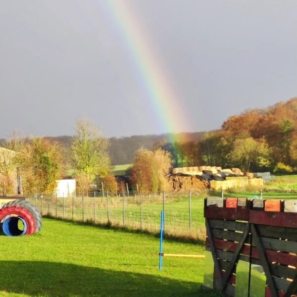 Centre Canin Le Parc de l'Aure avec Piscine pour chiens dans la Somme près d'Amiens à Saisseval