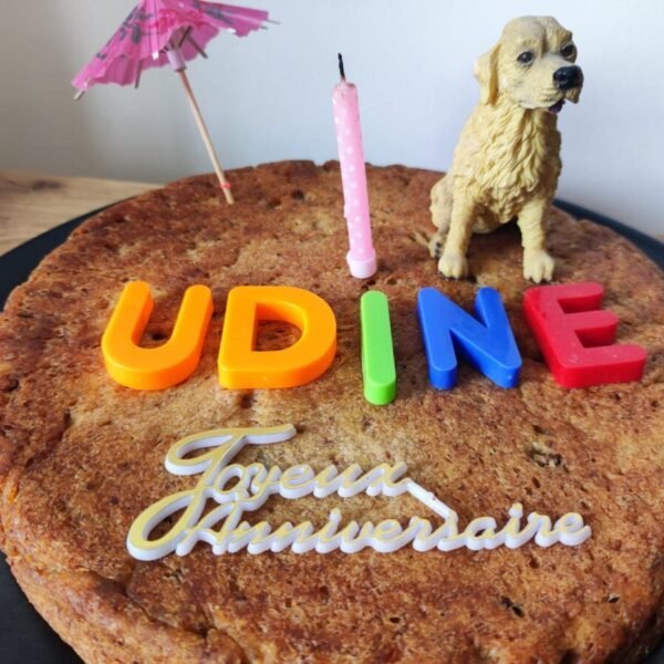 Gâteau d'Anniversaire canin au Centre Canin Le Parc de l'Aure avec Piscine pour chiens dans la Somme près d'Amiens à Saisseval