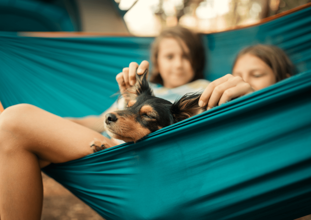 enfants avec leur chien au camping du Port de Moricq le camping le plus dog-friendly de France