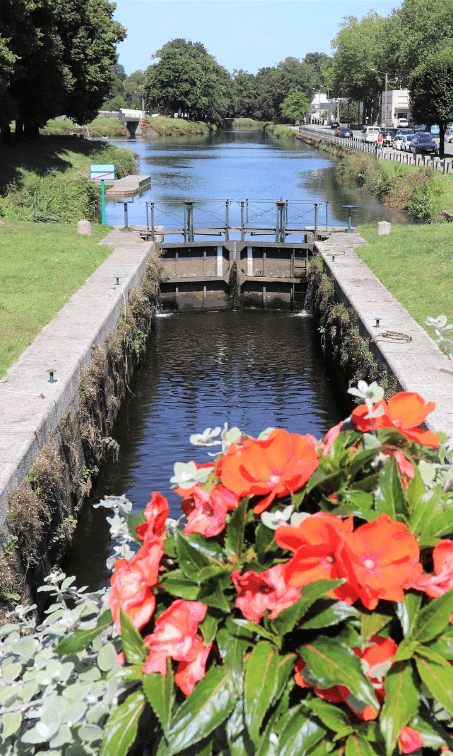 Les hortensias et le canal de Nantes à Brest, deux symboles de la Bretagne à découvrir lors de vos vacances en famille avec un chien sur un bateau sans permis Locaboat