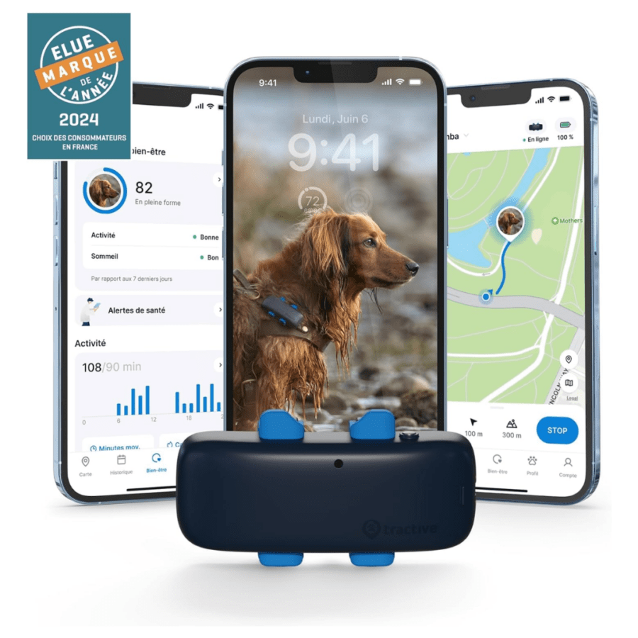 collier GPS pour chien Tractive parfait pour les randonnées