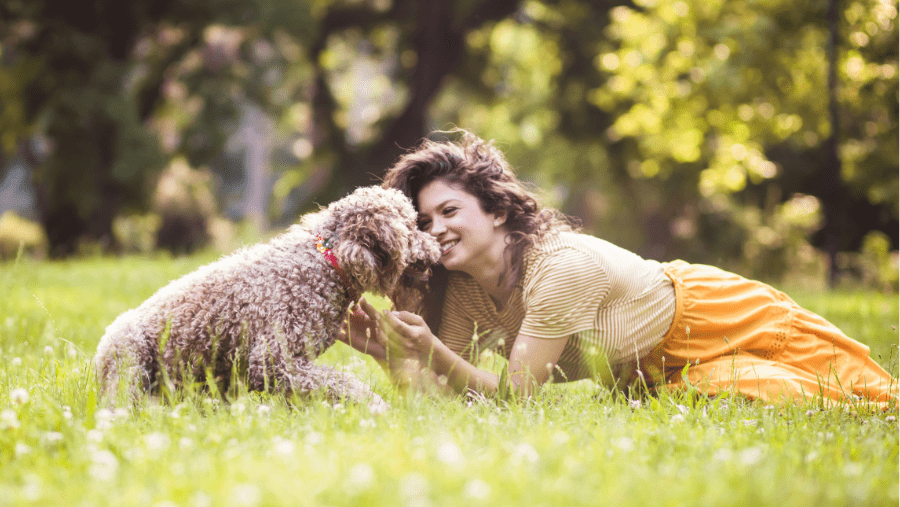 Itinéraire de vacances en famille dans la Manche et le Cotentin avec un chien