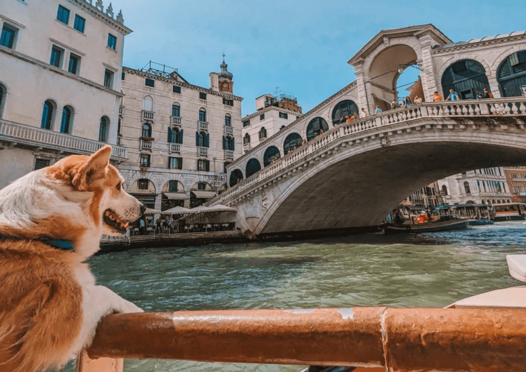 road-trip à Venise, Vérone et Padoue avec un chien