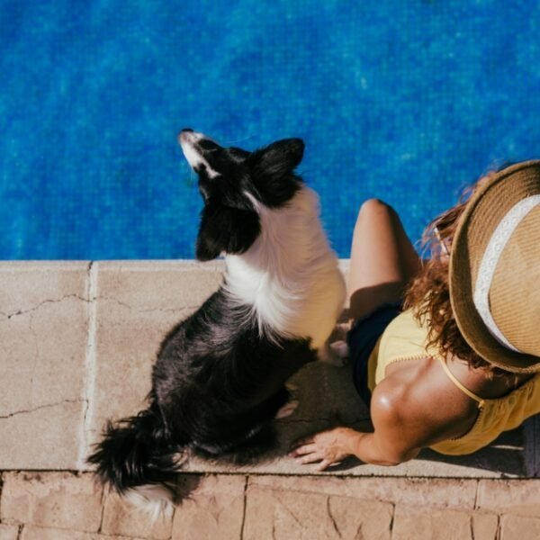 Femme et chien au bord de la piscine des Chambres d'hôtes La Vie est Belle en Provence dans le Var près de St Maximin en Provence