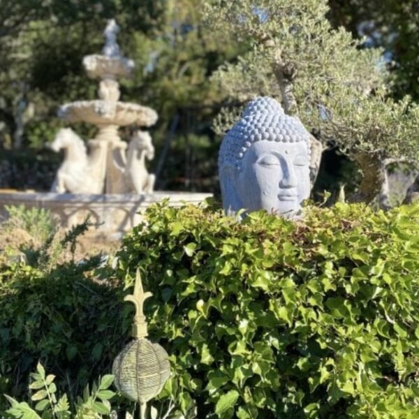 Jardin clos des Chambres d'hôtes La Vie est Belle en Provence dans le Var près de St Maximin en Provence