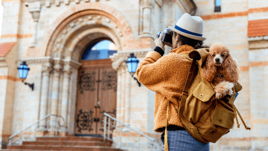 visitez des monuments des musées et des villes avec votre chien dans le sac à dos pendant les vacances