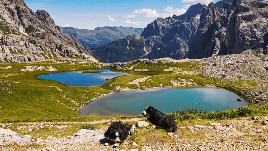 parcourir les montagnes des Dolomites avec des lacs magnifiques avec son chien