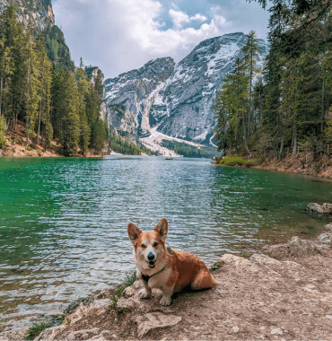 le lago di Braies dans les Dolomites en Italie est accessible avec un chien facilement