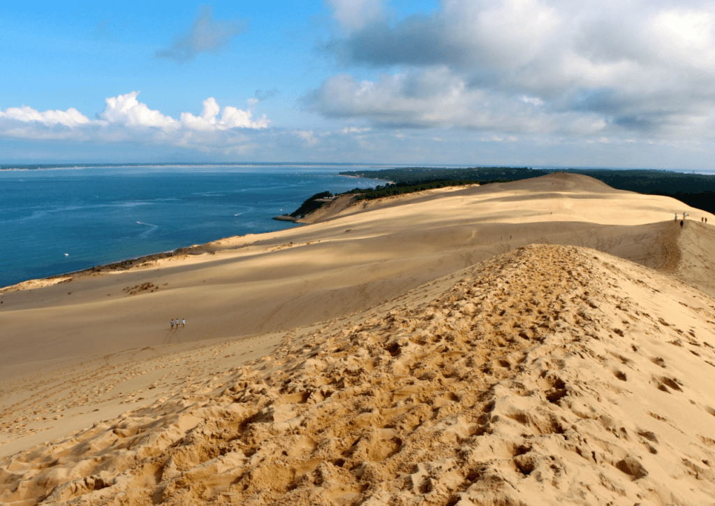 la dune du Pilat dans les Landes est accessibles aux chiens