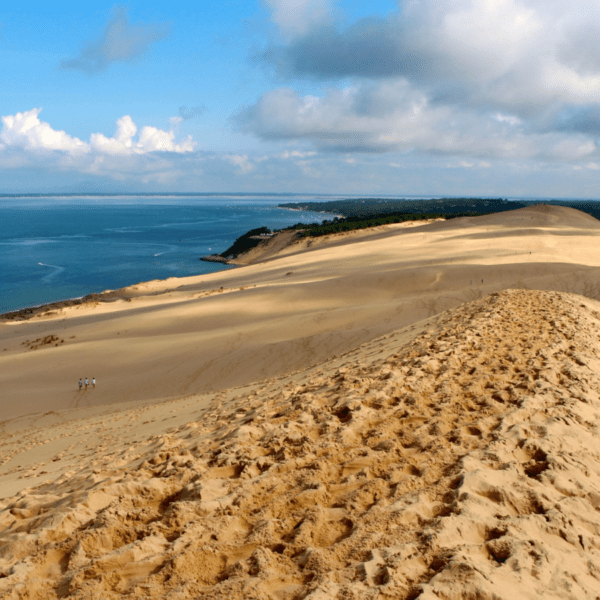 la dune du Pilat dans les Landes est accessibles aux chiens