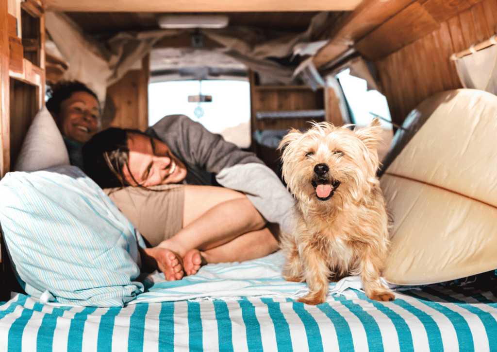 un chien et un couple dans un van aménagé camping car en parcourant la Somme