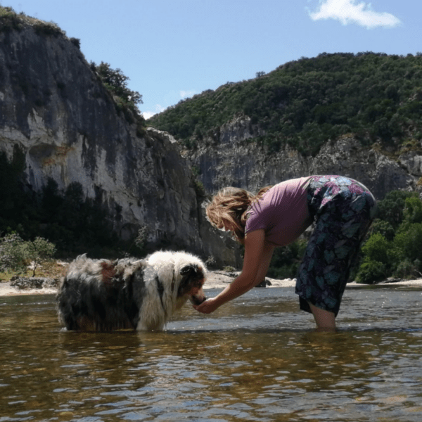 chien dans la rivière aux Gorges du Gardon pour se rafraichir l'été