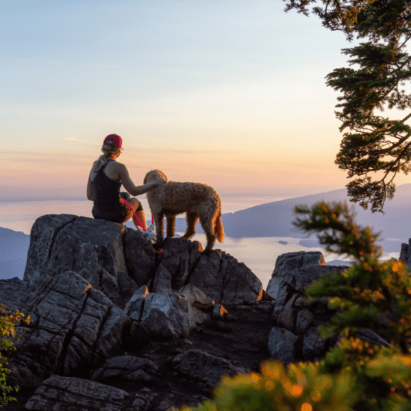 observation du coucher du soleil en montagne avec un chien