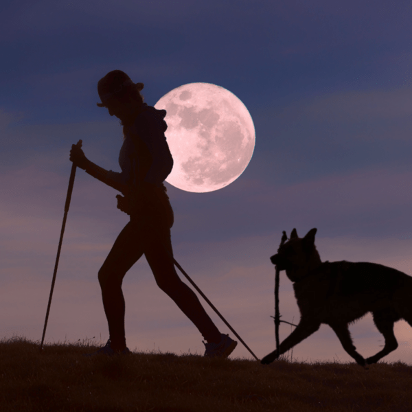 marcheur et son chien en randonnée de nuit avec une pleine lune