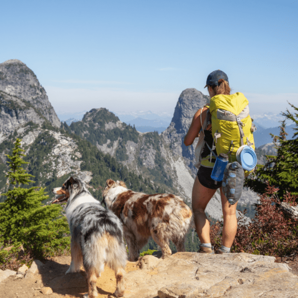 belle vue de montagne après la randonnée avec deux chiens bergers australiens