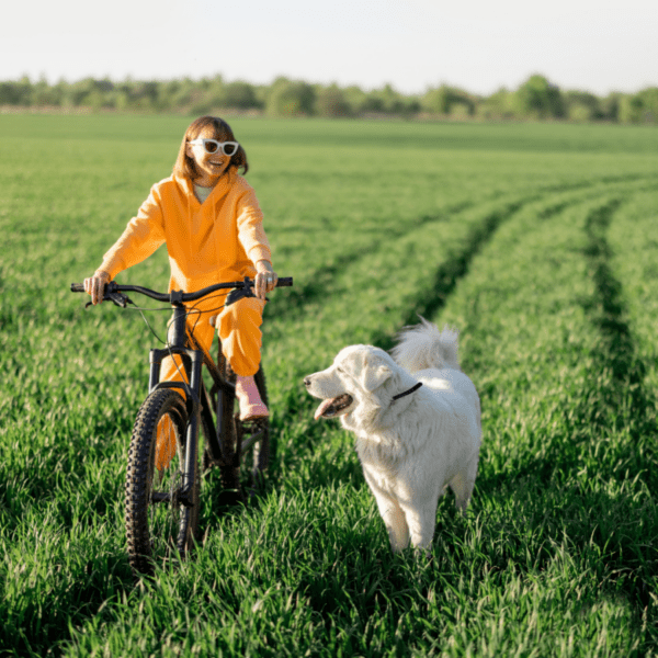 chien qui court avec son humaine en vélo dans un champ