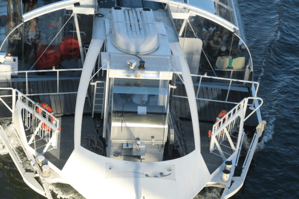 Croisière vision sous-marine