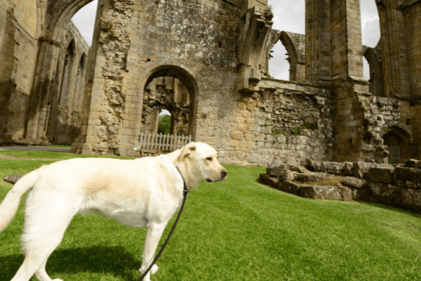 Abbaye de Coat Malouen