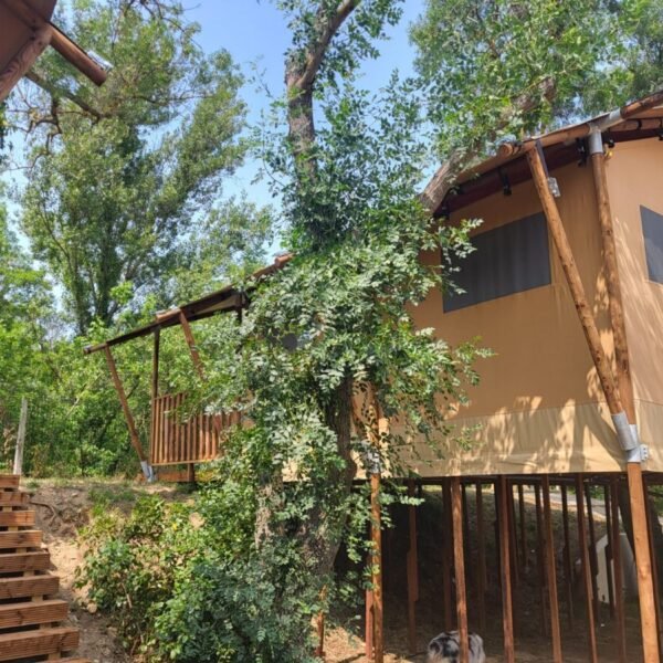 Camping Le Val de Cesse