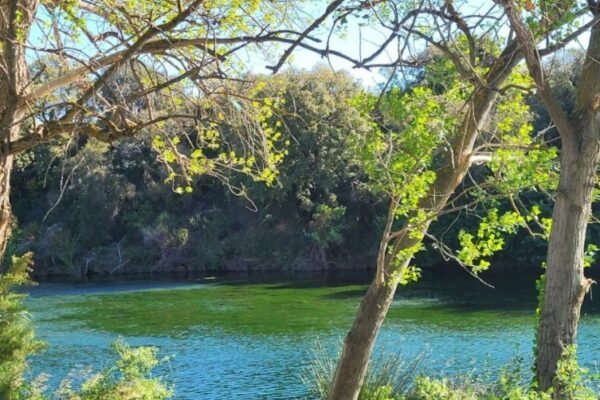 Camping Le Val de Cesse