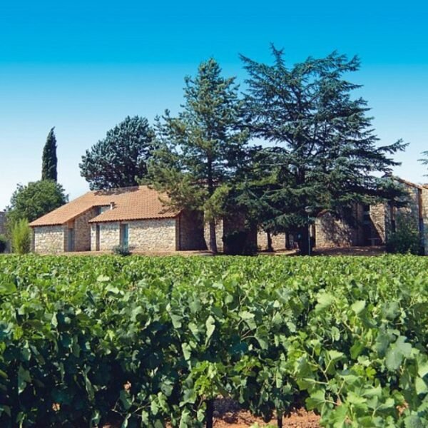 Potager près d'une résidence d'une résidence du Domaine des Vans en ArdècheAuvergne-Rhône-Alpes à Chambonas