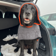 après une balade sportive sous la pluie ou une baignade, je vous conseille de mettre à votre chien le peignoir Decathlon afin de bien le sécher