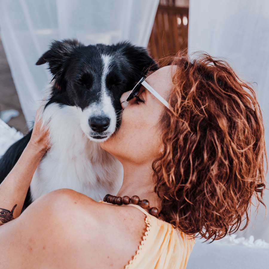 jeune femme fait un bisou à son chien border collie car elle peut partir en vacances grâce à la caisse de transport Priorpet