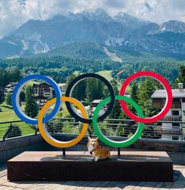 signe des Jeux Olympiques à Cortina d'Ampezzo dans les Dolomites avec un chien devant