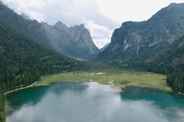 Cortina d’Ampezzo, Lago di Braies à Belluno avec un chien