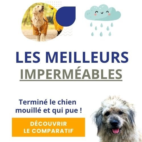 imperméables pour chien