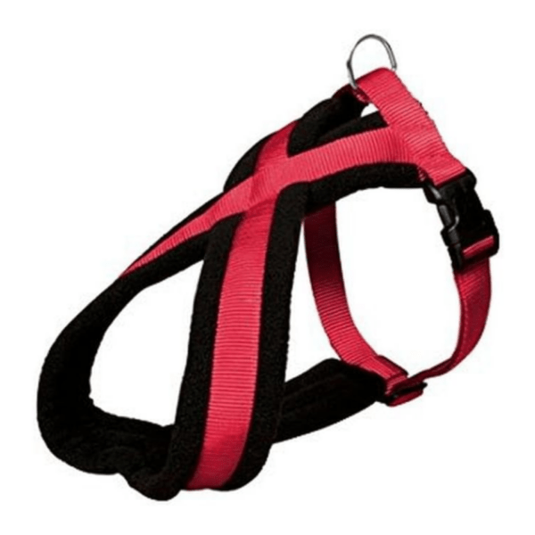 Comparatif : le top des harnais de traction pour chien