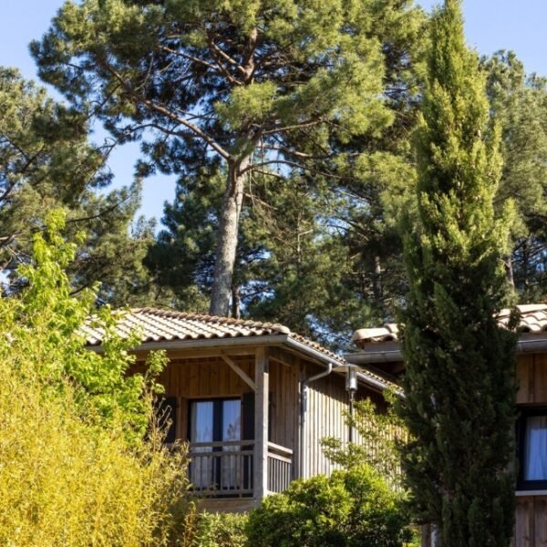 Photo d'un lodge entre les pins du Domaine du Ferret en Gironde en Nouvelle-Aquitaine à Lège-Cap-Ferret