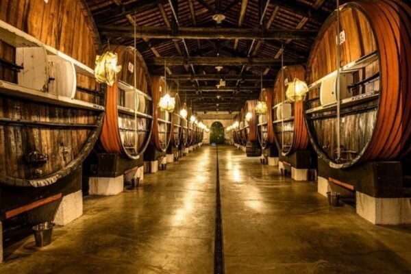 Visite de la Maison Noilly Prat