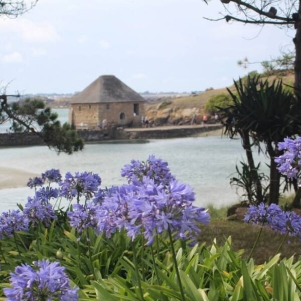 Maison sur la côte en bord de mer à proximité du gîte de Kervalo, moderne et confort pour 4 en Côtes-d'Armor en Bretagne à Pontrieux