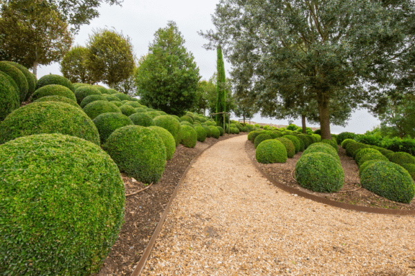 Le Jardin de la Louve