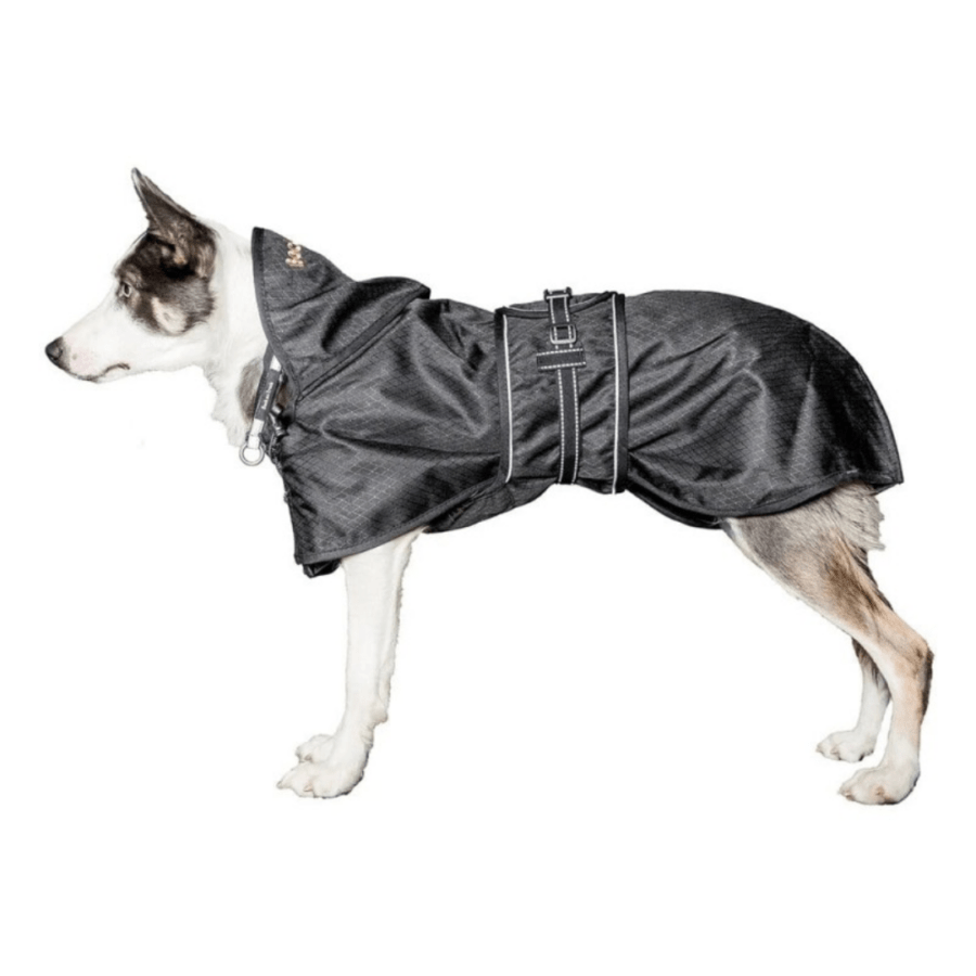 le border collie porte un manteau imperméable pour chien de Back on Track